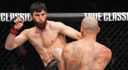 Ankalev vs. Ulberg or Prochazka FIght Odds Are Nearly the Same