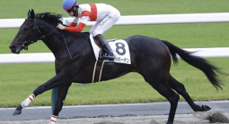 What Are the Payout Odds if Danon Bourbon Wins This Year's Kentucky Derby? 