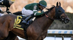 Iron Honor horse
