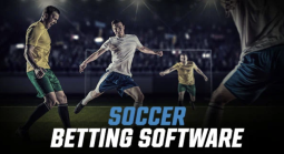 Does Your PPH Platform Offer Premier League Soccer Match Betting? 