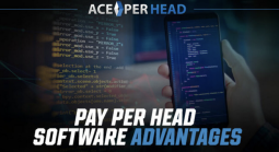 PPH World Cup Game Prop Bets - Japan vs. Sweden - Affordable Sportsbook Software