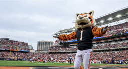 Bengals mascot