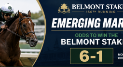  What Are the Payout Odds if Emerging Market Wins the Belmont Stakes?