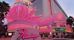 Flamingo Casino