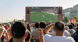White Label Sportsbook Solutions: Features, Costs and Providers