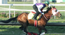 What Are the Payout Odds if Forever Young Wins This Year's Breeders Cup Classic?