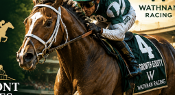 Growth Equity horse