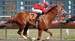 2026 Travers Stakes Payout Odds for Silent Tactic, Leading Change, Ocelli