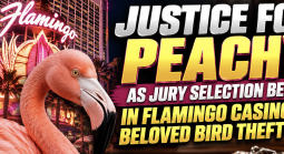 Fowl Play: Jury Selection Begins in Case Involving Las Vegas Casino Flamingo Theft, Torture