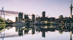 New Zealand Online Gambling Trends: Regulation, Access, and Player Protection