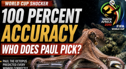Paul the Octopus