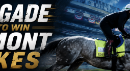What Are the Payout Odds if Renegade Wins the Belmont Stakes?