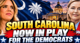 Annie Andrews Now Pays Out $300 for Every $100 Bet to Win the South Carolina Senate Race