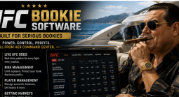 Top PPH Software for UFC Betting