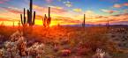 Where Can I Bet The Kentucky Derby Online From Arizona