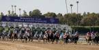 2016 Breeders Cup Classic Overnight Betting Odds