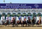 2019 Breeders Cup Betting News