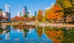 Where Can I Watch, Bet the Floyd Mayweather vs. Logan Paul Fight From Charlotte, NC