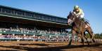 Classic Empire Odds to Win the 2017 Preakness Stakes