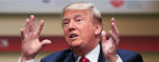 President Trump No 'Thank You' Pays Better Than 3-1 Odds