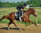 What Will the Payout Be on Finnick The Fierce to Win the Kentucky Derby?