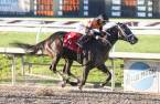What Will the Payout Be if Girvin Wins 2017 Kentucky Derby  