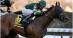 Iron Honor horse