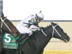  Long Range Toddy, Plus Que Parfait, Spinoff Kentucky Derby Payout Odds