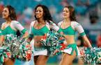 Miami Dolphins Bookie Desperation Index October 2 