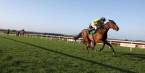 2017 Belmont Stakes, Met Mile, Ogden Phipps Stakes Betting Preview, Current Odds
