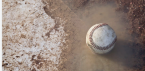 Baseball in water