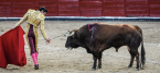 Bullfighting