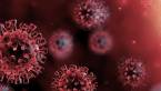 The Coronavirus Could Lead More States To OK Sports Betting And Internet Gambling