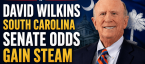 South Carolina Senate Race Gets Hotter With David Wilkins Odds Cutting Into Pamela Evette Initial -500 Price
