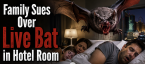 Family Sues Sparks, Nevada Hotel Over Live Bat in Room, Had to Take Four Rounds of Rabies Shots