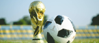 World Cup