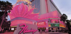 Flamingo Casino