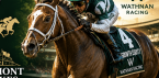 Growth Equity horse