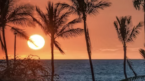 Hilo, Hawaii Getting a New Nonstop Flight to Las Vegas