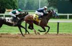 The top industry leading UK bookies for horse racing bettors