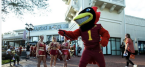 NCAA, Iowa State Negotiate sSports Betting Discipline for 5 Football Support Staffers