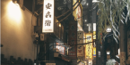 Beyond the Neon Lights: The Soul of Japan