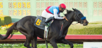Medina Spirit Drug Test Confirmed; Derby Win in Jeopardy