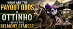 What Are the Payout Odds if Ottinho Wins the Belmont Stakes? 