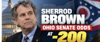 Sherrod Brown -200 Favorite to Win Ohio Senate as Jon Husted Payout Odds at $160